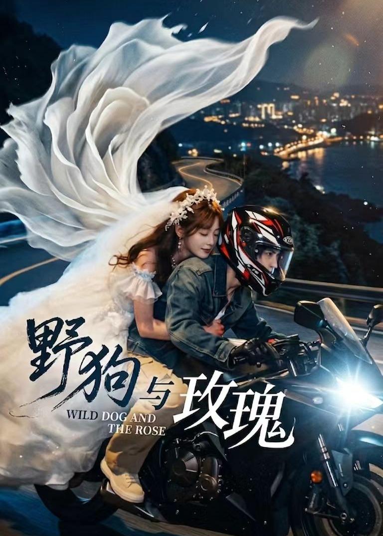 野狗与玫瑰